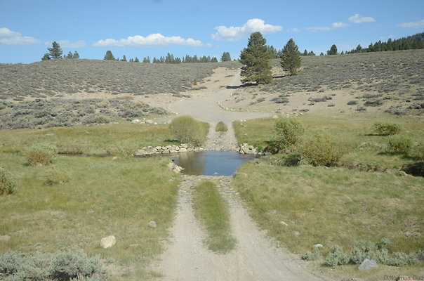 DND 0969