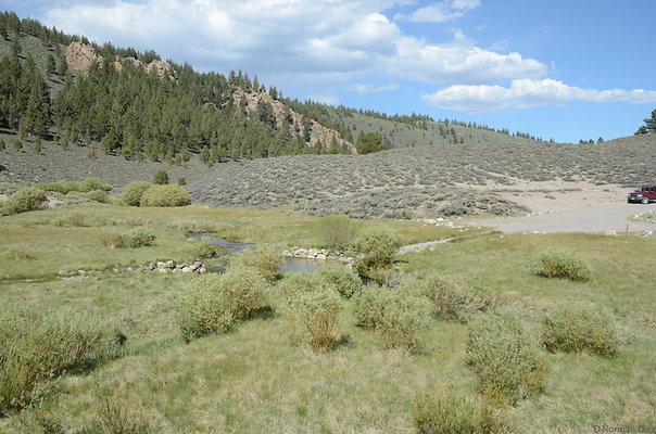 DND 0841