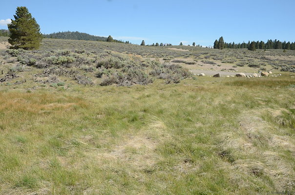 DND 0874