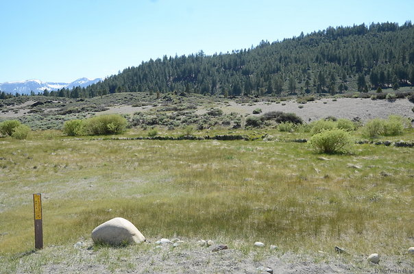 DND 0834