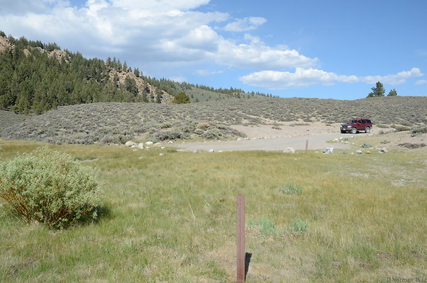 DND 0839