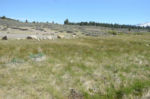 DND 0869