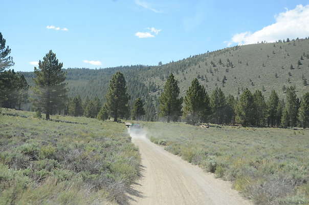 DND 0801