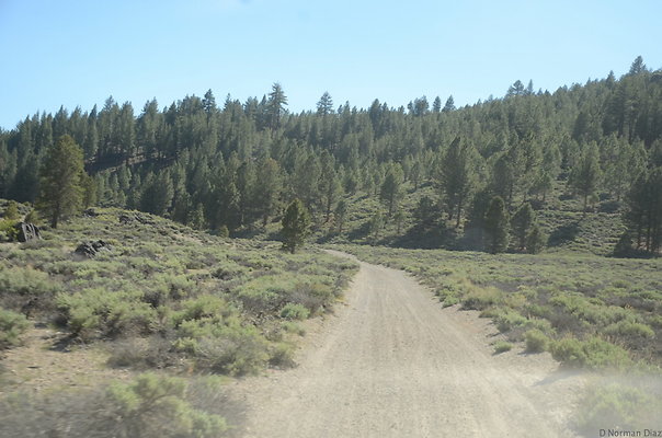 DND 0899