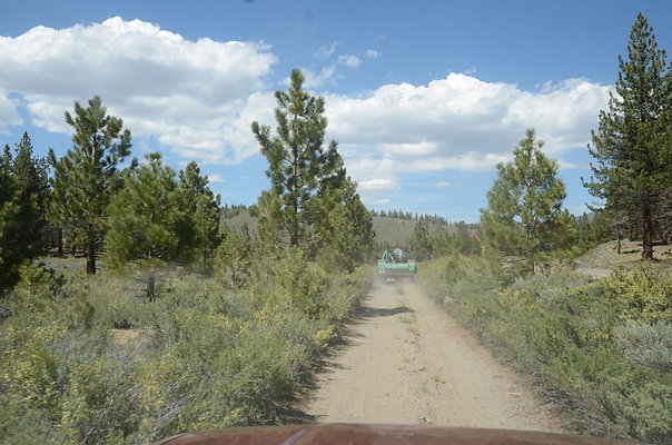 DND 0786