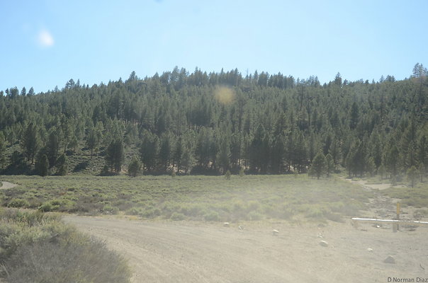 DND 0896