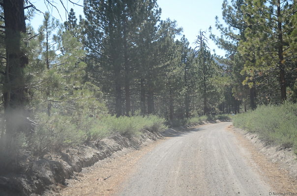 DND 0939