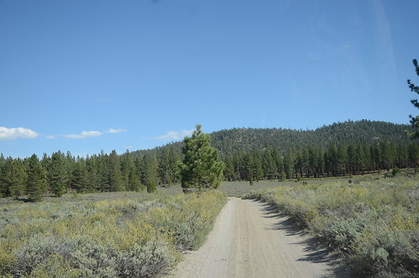 DND 0984