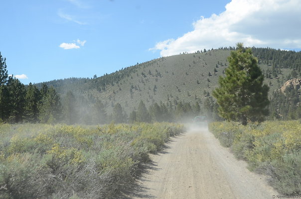 DND 0798