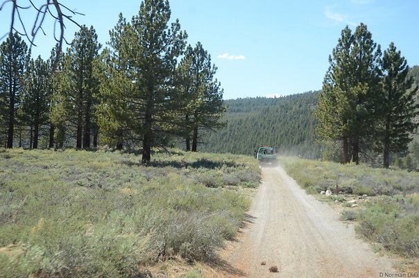 DND 0805