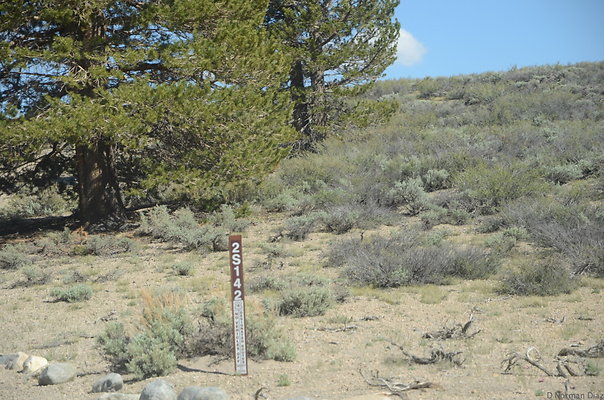 DND 0975