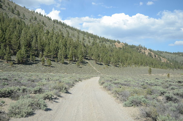 DND 0962