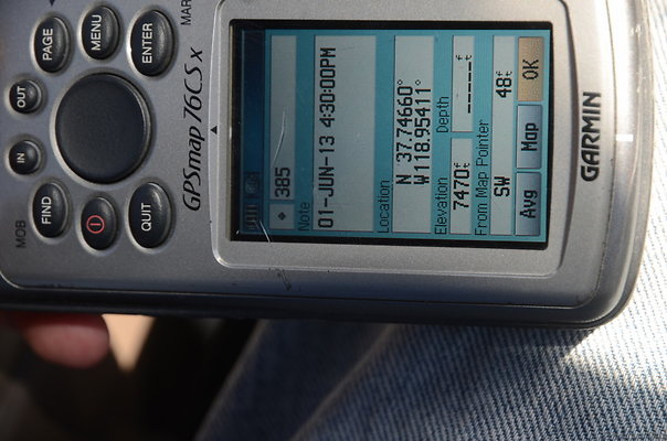 zDND 0989