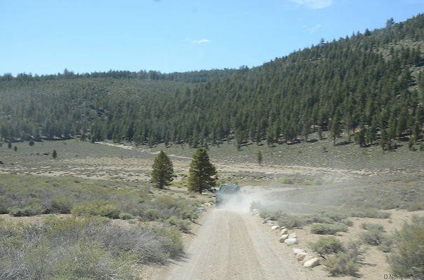 DND 0808