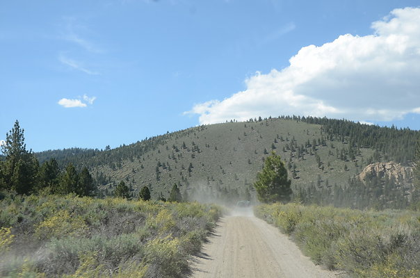 DND 0797