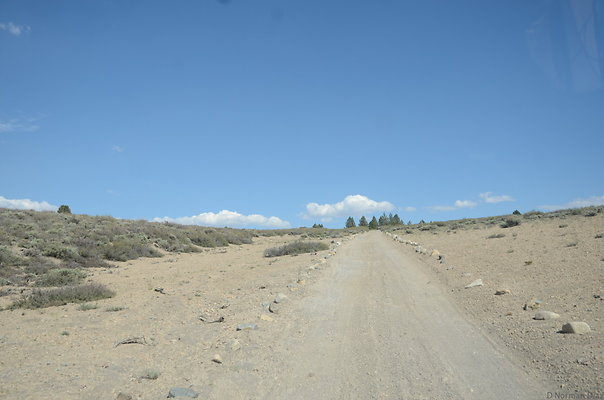 DND 0978