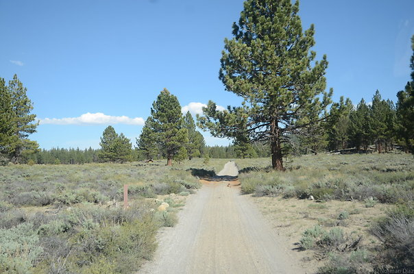DND 0980