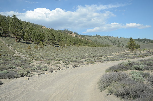 DND 0965