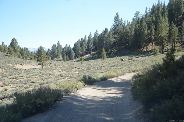 DND 0902