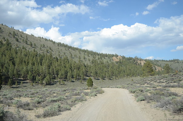 DND 0961