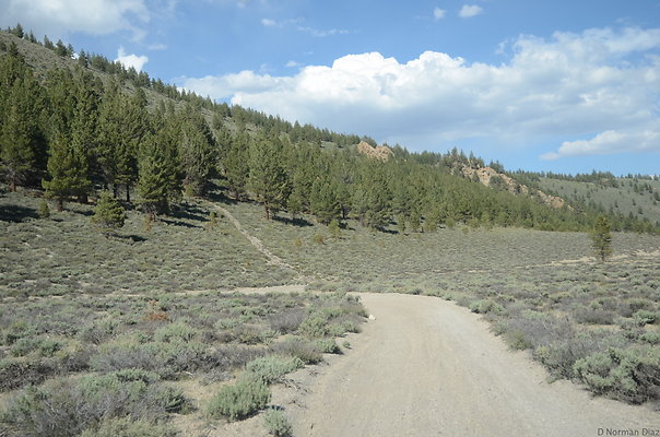 DND 0963