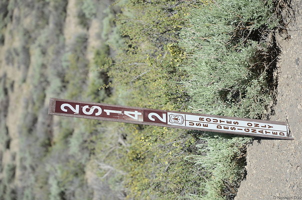 DND 0905