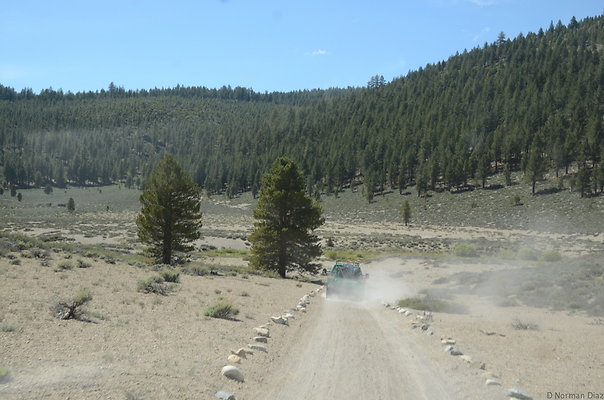 DND 0809