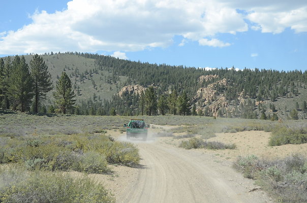 DND 0790