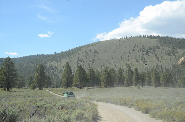 DND 0799