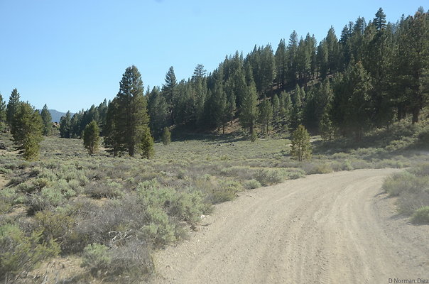DND 0900