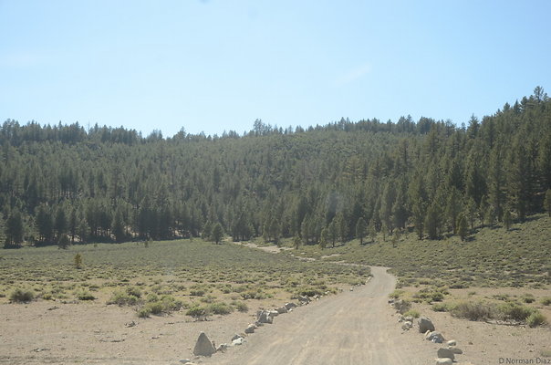 DND 0891
