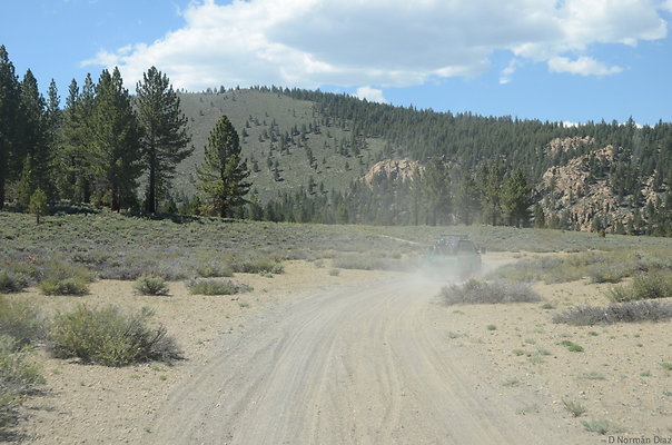 DND 0791