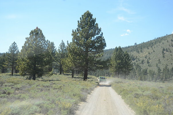 DND 0803