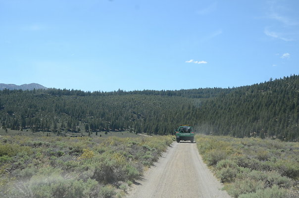 DND 0806