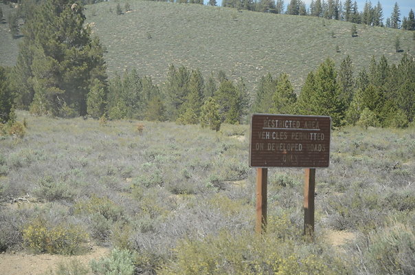 DND 0789