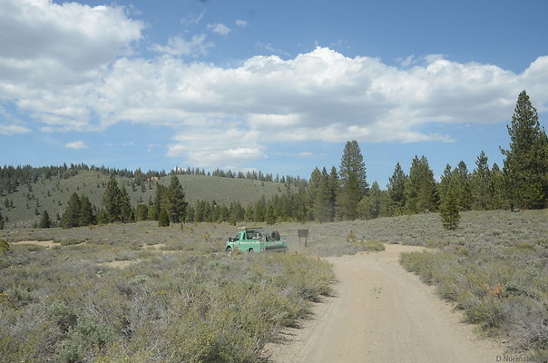 DND 0788
