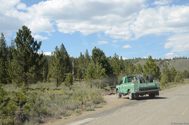 DND 0783