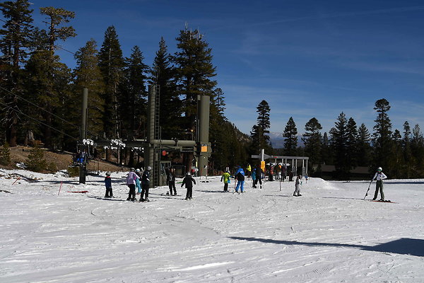 Chair 7 (3)