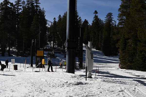 Chair 20 (5)