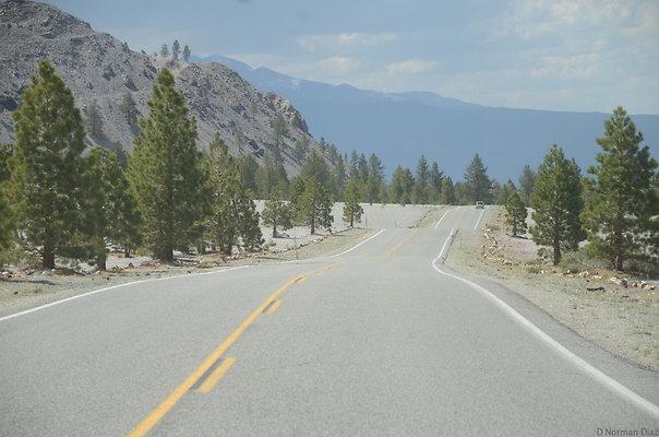 DND 3335