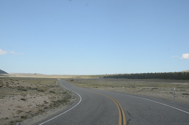 DND 3252