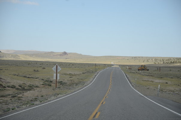 DND 3253