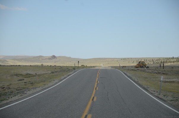 DND 3254