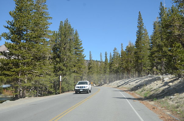 DND 0190