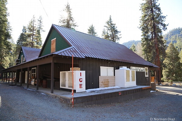 IMG 7384
