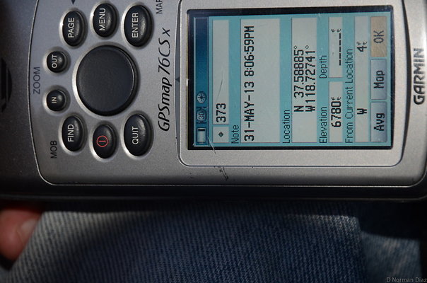 DND 9894