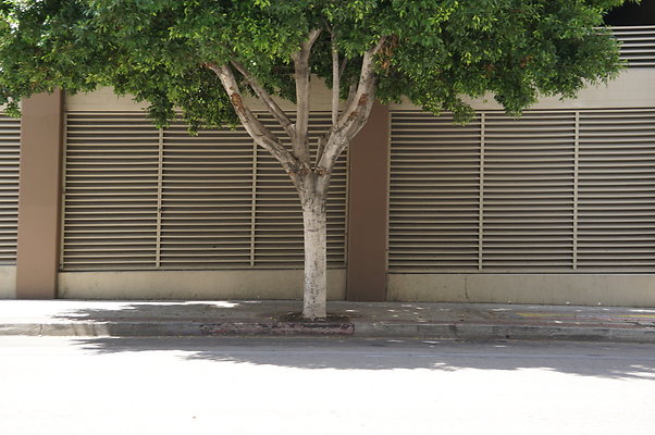 DSC03185
