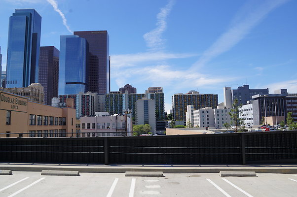 DSC03486
