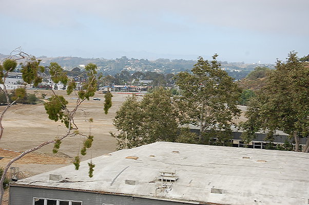 DSC 0181