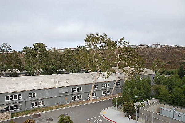 DSC 0182